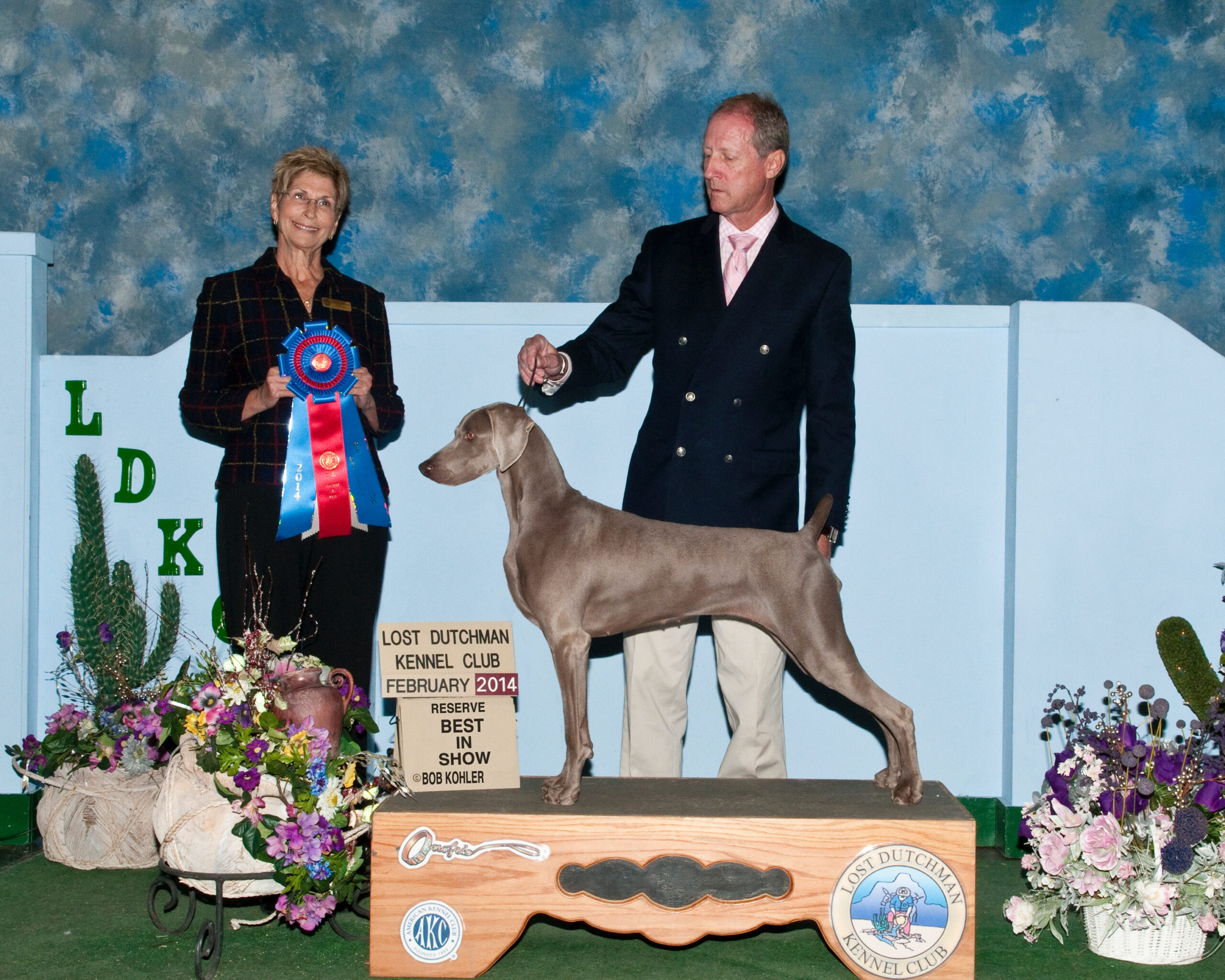 Weimaraner hot sale honor dog