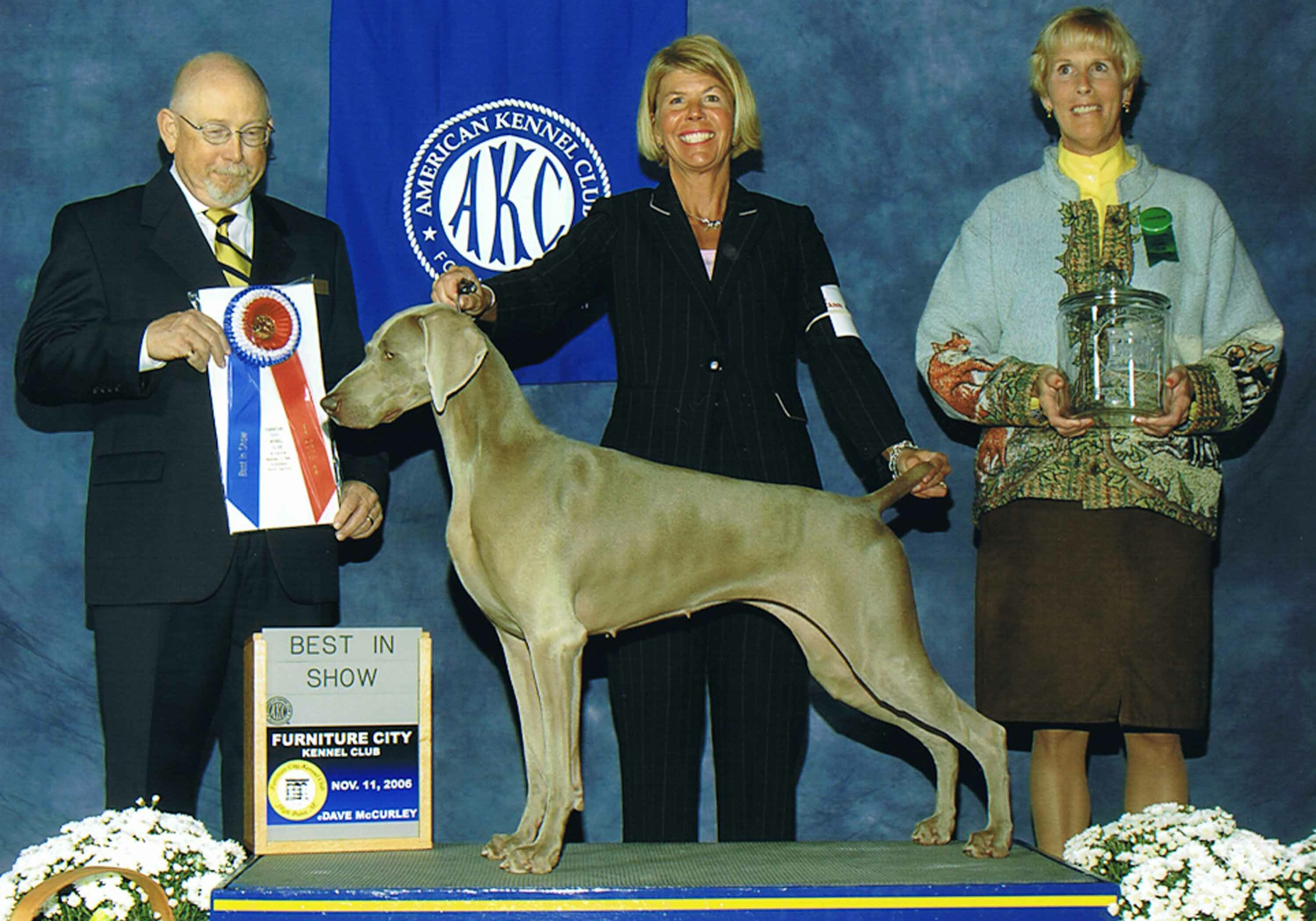 Dharma Best in Show 2007